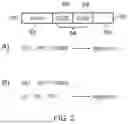 Fig. 03 - TECHNIQUE FOR CONSTRAINING ACCESS TO MEMORY USING CAPABILITIES
