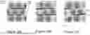 Fig. 13 - IMPLEMENTATION OF DEEP NEURAL NETWORKS FOR TESTING AND QUALITY CONTROL IN THE PRODUCTION OF MEMORY DEVICES