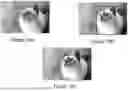 Fig. 18 - IMPLEMENTATION OF DEEP NEURAL NETWORKS FOR TESTING AND QUALITY CONTROL IN THE PRODUCTION OF MEMORY DEVICES
