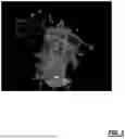 Fig. 04 - Systems and methods for installing alarming systems at cell sites