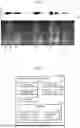 Fig. 03 - DYSARTHRIA DETECTION METHOD, DYSARTHRIA DETECTION DEVICE, AND RECORDING MEDIUM