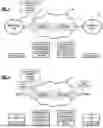Fig. 02 - Latency sensitive network plane via SR flex algorithm for layer 1 services
