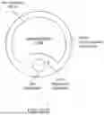 Fig. 49 - Intravascular lithotripsy