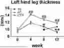 Fig. 01 - FOOD COMPOSITION AND PHARMACEUTICAL COMPOSITION FOR PREVENTING OR ALLEVIATING SARCOPENIA, CONTAINING LOW-MOLECULAR-WEIGHT COLLAGEN AS ACTIVE INGREDIENT