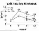 Fig. 02 - FOOD COMPOSITION AND PHARMACEUTICAL COMPOSITION FOR PREVENTING OR ALLEVIATING SARCOPENIA, CONTAINING LOW-MOLECULAR-WEIGHT COLLAGEN AS ACTIVE INGREDIENT