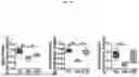 Fig. 04 - FOOD COMPOSITION AND PHARMACEUTICAL COMPOSITION FOR PREVENTING OR ALLEVIATING SARCOPENIA, CONTAINING LOW-MOLECULAR-WEIGHT COLLAGEN AS ACTIVE INGREDIENT