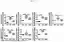 Fig. 08 - FOOD COMPOSITION AND PHARMACEUTICAL COMPOSITION FOR PREVENTING OR ALLEVIATING SARCOPENIA, CONTAINING LOW-MOLECULAR-WEIGHT COLLAGEN AS ACTIVE INGREDIENT
