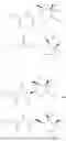 Fig. 960 - SMALL MOLECULE INHIBITORS OF MAMMALIAN SLC6A19 FUNCTION