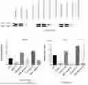 Fig. 08 - COMPOSITIONS AND METHODS FOR DELIVERY AND EXPRESSION OF SMALL INHIBITORY PEPTIDES AND USE THEREOF