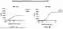 Fig. 02 - ANTI-CD96 ANTIBODIES AND METHODS OF USE THEREOF