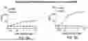 Fig. 06 - ANTI-CD96 ANTIBODIES AND METHODS OF USE THEREOF
