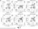 Fig. 07 - NOVEL SINGLE DOMAIN ANTIGEN BINDING MOLECULES AND THEIR USES