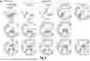 Fig. 16 - NOVEL SINGLE DOMAIN ANTIGEN BINDING MOLECULES AND THEIR USES