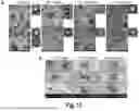 Fig. 28 - NOVEL SINGLE DOMAIN ANTIGEN BINDING MOLECULES AND THEIR USES