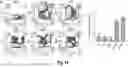 Fig. 35 - NOVEL SINGLE DOMAIN ANTIGEN BINDING MOLECULES AND THEIR USES