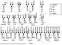 Fig. 02 - ANTI-CD20 ANTIBODY COMPOSITIONS