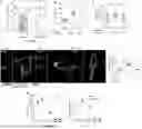 Fig. 01 - COMPOSITIONS AND METHODS FOR TARGETING INFLAMMATORY OR ACTIVATED CELLS AND TREATING OR AMELIORATING INFLAMMATORY CONDITIONS AND PAIN