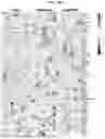 Fig. 25 - COMPOSITIONS AND METHODS FOR TARGETING INFLAMMATORY OR ACTIVATED CELLS AND TREATING OR AMELIORATING INFLAMMATORY CONDITIONS AND PAIN