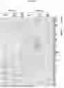 Fig. 29 - COMPOSITIONS AND METHODS FOR TARGETING INFLAMMATORY OR ACTIVATED CELLS AND TREATING OR AMELIORATING INFLAMMATORY CONDITIONS AND PAIN