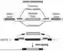 Fig. 01 - HIGH EFFICIENCY TRANS-SPLICING FOR REPLACEMENT OF TARGETED RNA SEQUENCES IN HUMAN CELLS