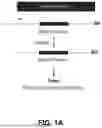Fig. 02 - HIGH EFFICIENCY TRANS-SPLICING FOR REPLACEMENT OF TARGETED RNA SEQUENCES IN HUMAN CELLS