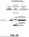 Fig. 06 - HIGH EFFICIENCY TRANS-SPLICING FOR REPLACEMENT OF TARGETED RNA SEQUENCES IN HUMAN CELLS