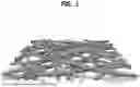 Fig. 02 - ANODIC ELECTRODE, WATER ELECTROLYSIS DEVICE INCLUDING THE SAME AND METHOD FOR PREPARING THE SAME