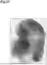 Fig. 28 - RADIOGRAPHIC IMAGE ACQUIRING DEVICE, RADIOGRAPHIC IMAGE ACQUIRING SYSTEM, AND RADIOGRAPHIC IMAGE ACQUISITION METHOD