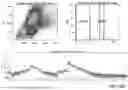 Fig. 45 - HIGH PARAMETER FLOW CYTOMETRIC ASSAY TO IDENTIFY HUMAN MYELOID DERIVED SUPPRESSIVE CELLS