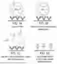 Fig. 02 - METHODS FOR ISOLATING AND ANALYZING A TARGET ANALYTE ENCAPSULATED BY A SURFACE MARKER DISPLAYING AGENT