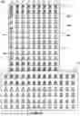 Fig. 07 - Quality control operation for autonomous pile driving system