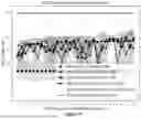 Fig. 09 - METHOD AND SYSTEM FOR PROVIDING LABELED IMAGES FOR SMALL CELL SITE SELECTION