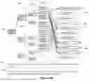 Fig. 49 - Applied Artificial Intelligence Technology for Narrative Generation Based on Explanation Communication Goals