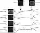 Fig. 01 - SYSTEMS AND METHODS OF ON-THE-FLY GENERATION OF 3D DYNAMIC IMAGES USING A PRE-LEARNED SPATIAL SUBSPACE