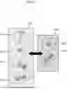Fig. 10 - DRUG IDENTIFICATION APPARATUS, DRUG IDENTIFICATION METHOD AND PROGRAM