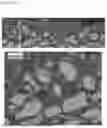 Fig. 03 - PRE-LITHIATION METHOD OF NEGATIVE ELECTRODE FOR LITHIUM SECONDARY BATTERY, NEGATIVE ELECTRODE FOR LITHIUM SECONDARY BATTERY, AND LITHIUM SECONDARY BATTERY COMPRISING NEGATIVE ELECTRODE