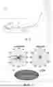 Fig. 02 - OMNIDIRECTIONAL COVERAGE BASE STATION ANTENNAS HAVING MODULAR REFLECTOR ASSEMBLIES AND/OR FEED NETWORKS