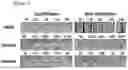 Fig. 02 - FREEZE-DRY PROTECTIVE AGENT FOR EXTRACELLULAR VESICLES