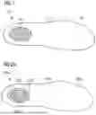 Fig. 02 - Shoe and Sole