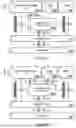 Fig. 07 - BALLISTIC FORCES ON A SUBJECT