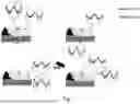 Fig. 09 - BALLISTIC FORCES ON A SUBJECT