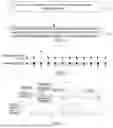 Fig. 02 - CONTROL METHOD FOR MEDICAL PROBE, IMAGING METHOD, AND ULTRASOUND SYSTEM