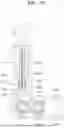 Fig. 79 - End tool for surgical instrument