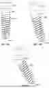 Fig. 16 - DENTAL ATTACHMENT ASSEMBLIES,  ANGLED IMPLANT ASSEMBLIES, AND METHODS OF USE