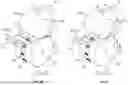 Fig. 09 - Split Formation of Unitary Substrates