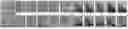 Fig. 01 - COMPOSITION FOR TREATING OF FACIAL DYSMORPHISM IN MUCOPOLYSACCHARIDOSIS