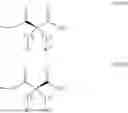 Fig. 167 - FATTY ACID-BIFUNCTIONAL DEGRADER CONJUGATES AND THEIR METHODS OF USE