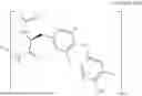 Fig. 09 - VECTOR FOR DELIVERING ACTIVE AGENT TO NERVOUS SYSTEM, AND USE THEREOF
