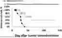 Fig. 01 - Method of preventing the development of melanoma