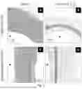 Fig. 06 - Multi-Layered Graft for Tissue Engineering Applications